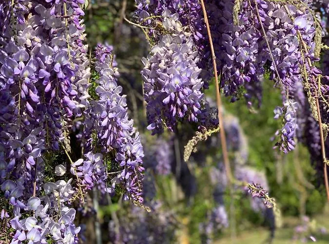 The Apartment Ravenna