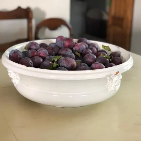 The *