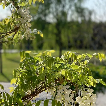 Διαμέρισμα The *