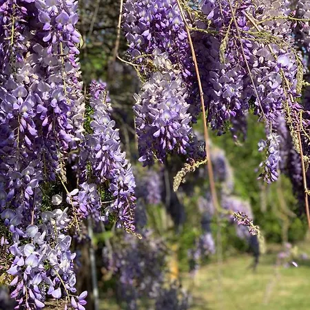 The Διαμέρισμα Ραβένα