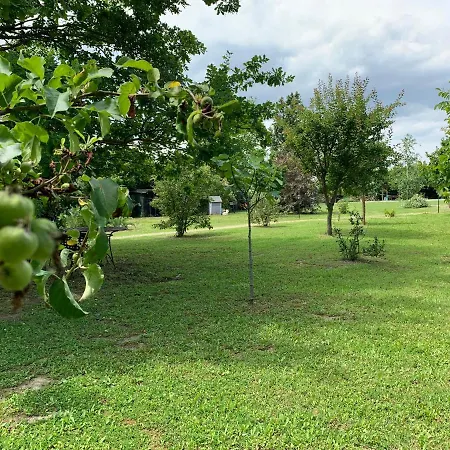 Appartamento The Ravenna