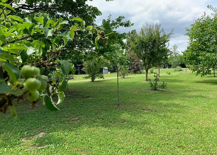 Apartment The Ravenna